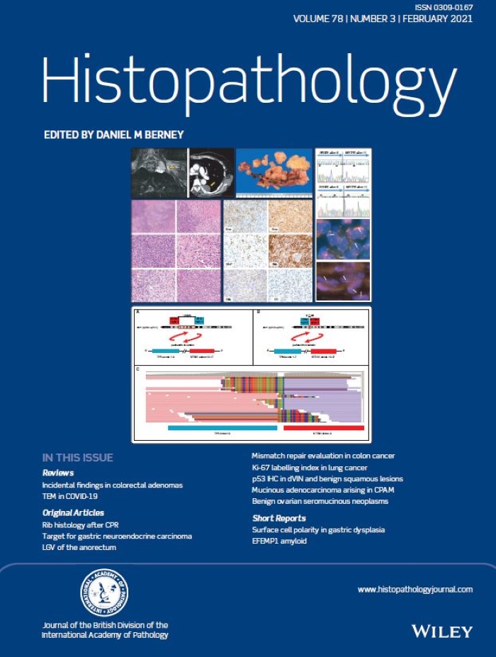 Histopathology Latest Journal Issue Now Available | BDIAP