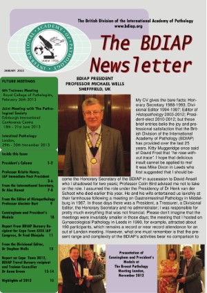 2013 Newsletter Issue 8 image