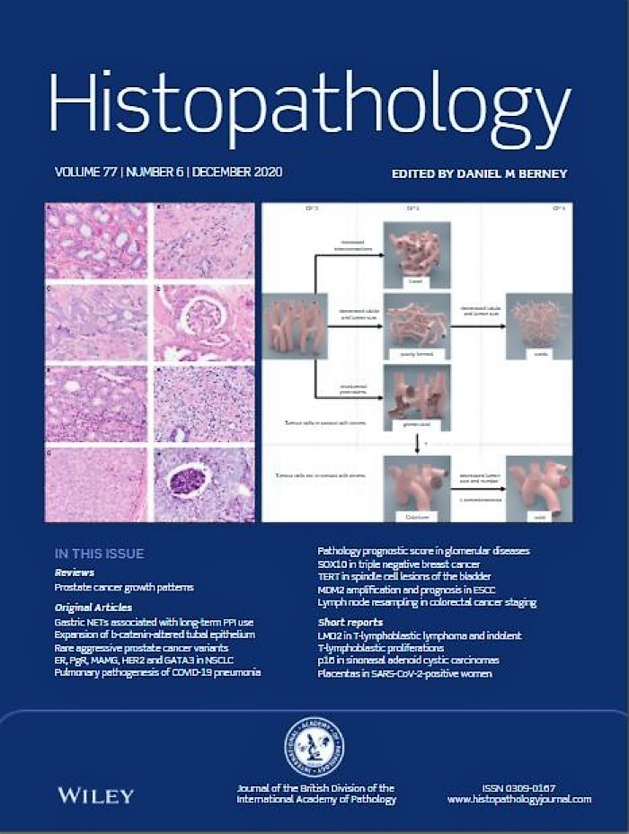 Histopathology Latest Journal Issue Now Available | BDIAP