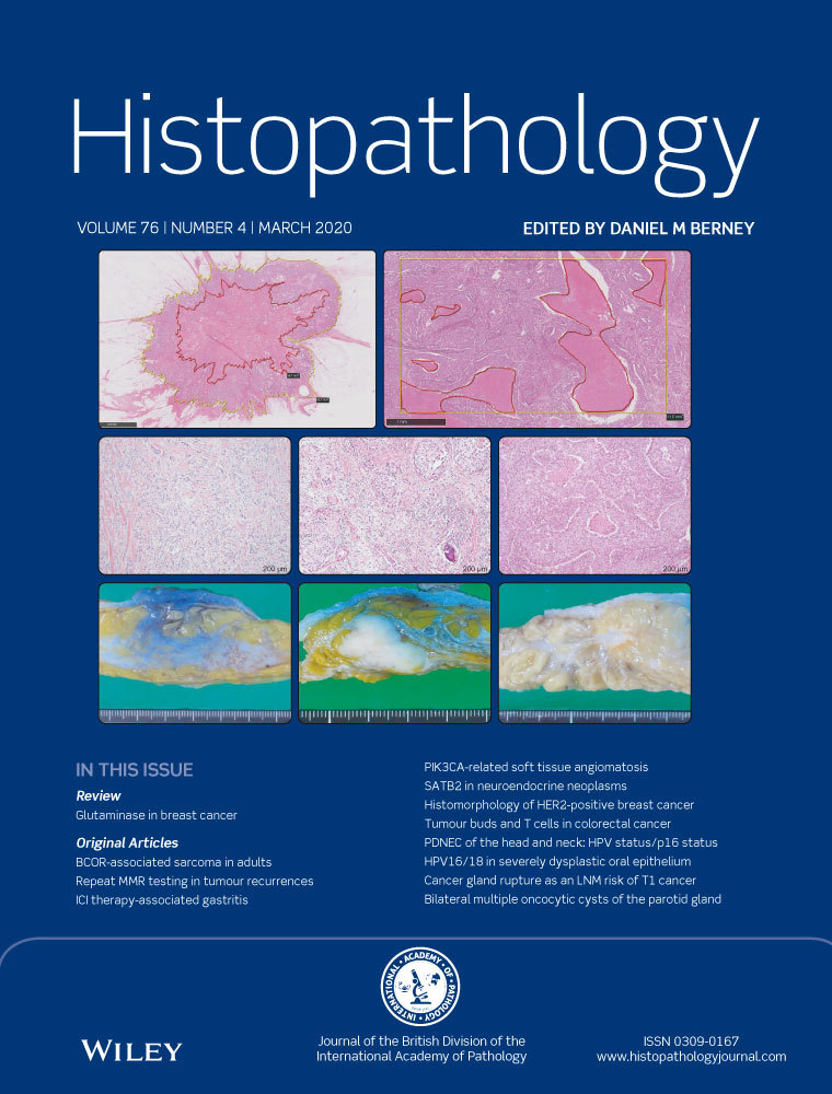 Histopathology Latest Journal Issue Now Available | BDIAP