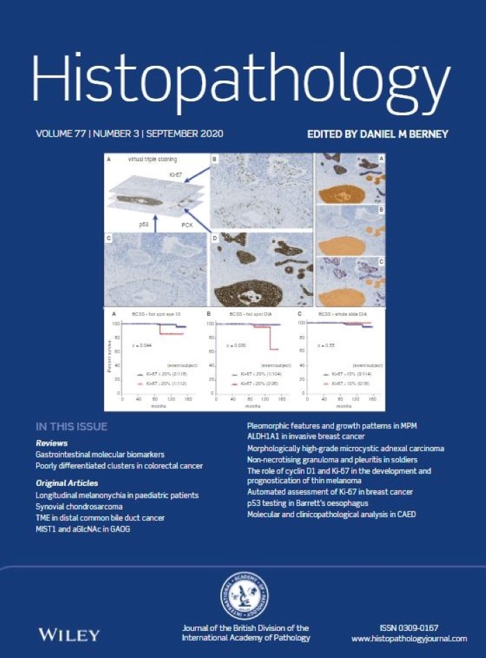 Histopathology Latest Journal Issue Now Available | BDIAP