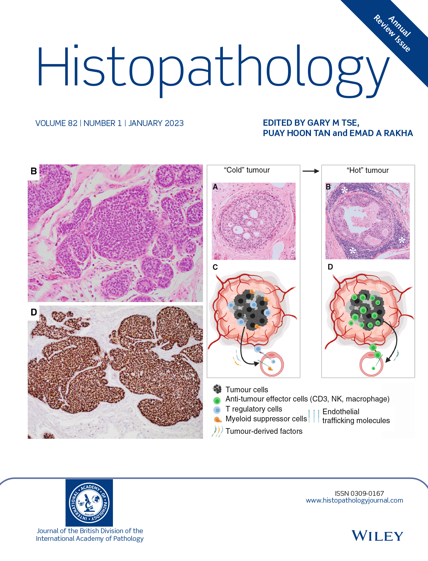 Histopathology Annual Review Issue Now Available image