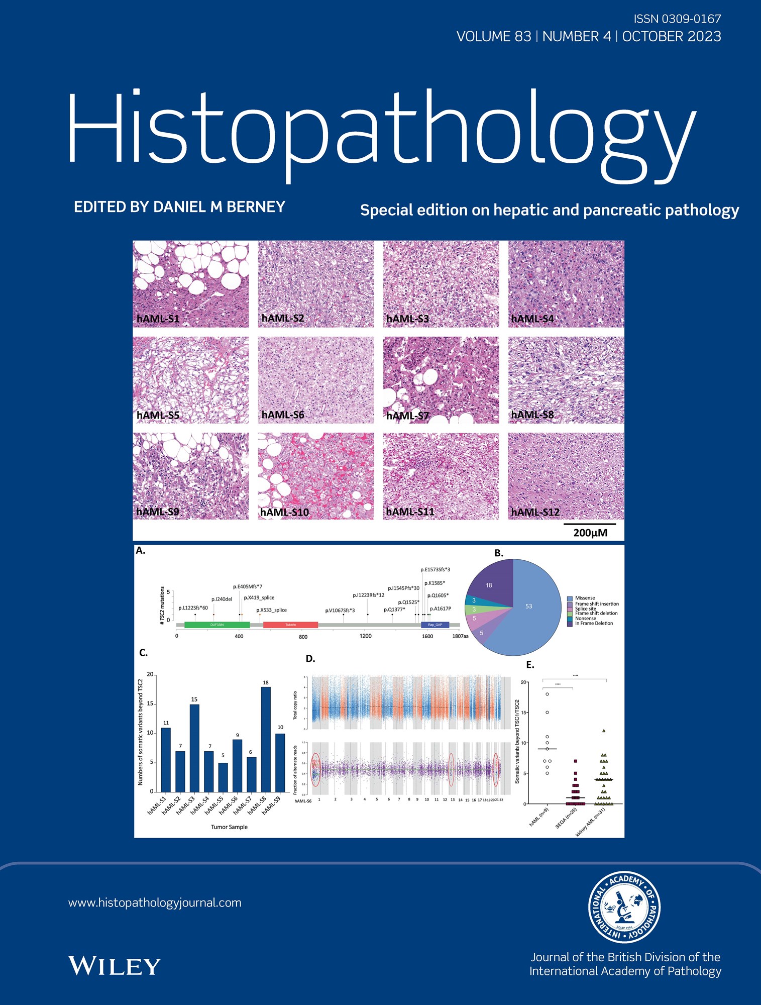 Histopathology Journal: Latest Issue Now Available | BDIAP