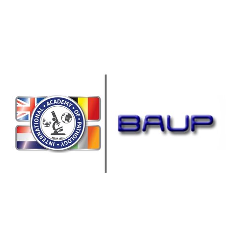 BDIAP/BAUP Symposium on Urological Pathology