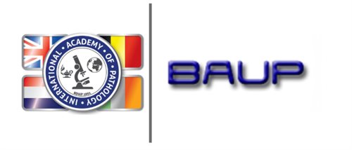 BDIAP/BAUP Symposium on Urological Pathology