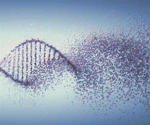 BDIAP Molecular Pathology Study Day 2026